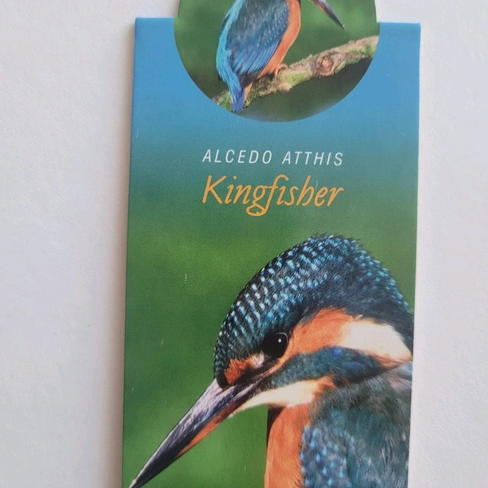 Cardmarks Kingfisher Bird Wild Nature Magnetic Magnet UK Company If 2402 Y2k 00s